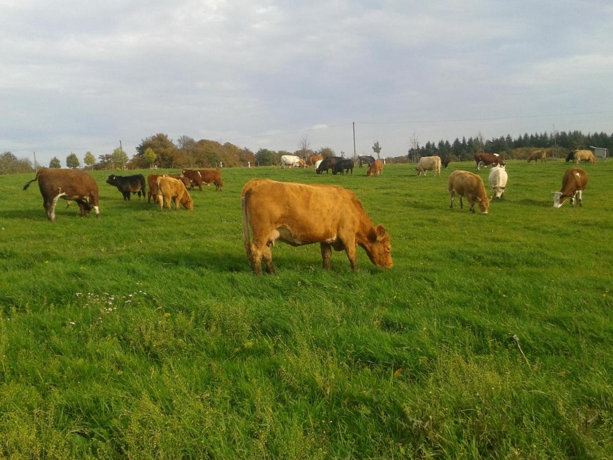 Ferienwohnung Scheid Lahr  エクステリア 写真